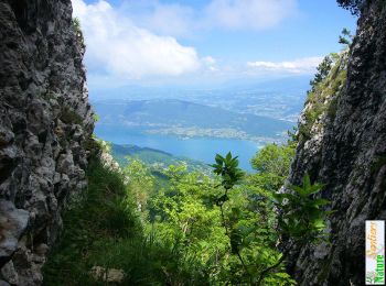 Tour Wandern Bourdeau - La Dent du Chat par la Grotte Parin et le Couloir Nord - Photo