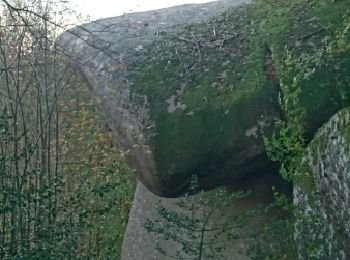 Trail Walking Lacrouzette - Castres - Rochers du Sidobre - Photo