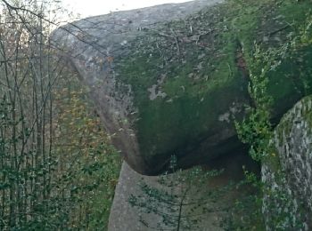 Tour Wandern Lacrouzette - Castres - Rochers du Sidobre - Photo