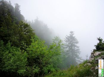 Trail Walking Saint-Jean-de-Couz - La Cochette par l'arête Ouest - Photo