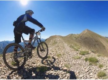 Trail Mountain bike Colmars - Espace VTT FFC Val d'Allos - Circuit n° 10 - La Traversée des Baussées - Photo