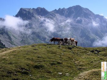 Tour Wandern Presle - La Pointe de Rognier 2341m, depuis la Chapelle de Prodin - Photo