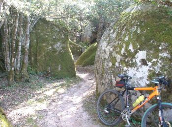 Tocht Mountainbike Fozzano - Raid VTT en Corse - Burgo à Quenza - Photo