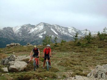 Trail Mountain bike Castirla - Raid VTT en Corse - Autour de Corte - Photo