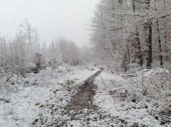 Tour Wandern Longpont - en forêt de Retz_67_ballade (1) en toute saison - Photo
