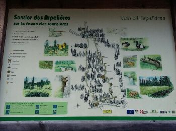 Trail Walking Crest-Voland - Sentier des Arpelières  - Photo