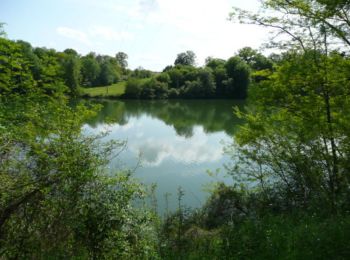 Trail Mountain bike Gabarret - Autour de Gabarret - Photo