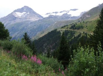 Trail Mountain bike Val-Cenis - Haute Maurienne - Montée de Bellecombe - Photo