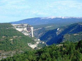Trail Cycle Mazan - Vaucluse - Col Faraud - Gorges de la Nesque - Photo