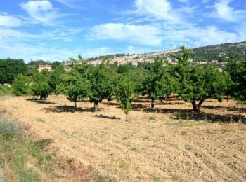 Tour Fahrrad Sault - Vaucluse - Sault - Saint Saturnin les Apt - Sault - Photo