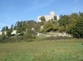 Percorso Mountainbike Saint-Quentin-Fallavier - La St Quentinoise 2008 - Photo