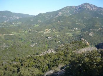 Tocht Stappen Eccica-Suarella - Trail de Sampiero - Photo