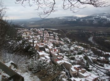 Tocht Stappen Les Martres-de-Veyre - Le puy de Corent - Photo