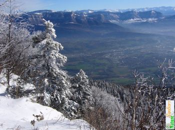 Randonnée Raquettes à neige Verthemex - Château Richard, depuis l'ancien stade de neige - Photo