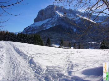 Tocht Sneeuwschoenen Apremont - Le Mont Joigny 1553m, en raquettes - Photo