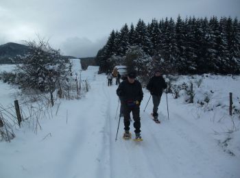 Tour Schneeschuhwandern Saint-Genès-Champanelle - Laschamp en raquettes - Photo