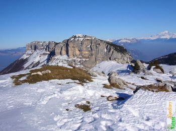 Trail Snowshoes Entremont-le-Vieux - Le Sommet du Pinet en raquettes, 1867m - Photo