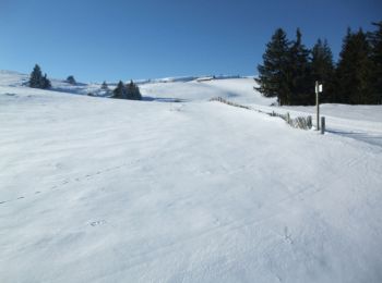 Randonnée Raquettes à neige Albepierre-Bredons - Raquettes à Prat de Bouc - Photo