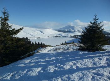 Tour Schneeschuhwandern Perpezat - Raquettes au Guéry - Photo