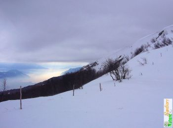 Tour Schneeschuhwandern Anglefort - La Croix du Colombier 1525m depuis Bezonne - Photo