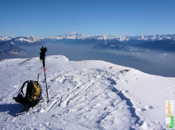 Randonnée Raquettes à neige Entremont-le-Vieux - Les Rochers de Belles Ombres 1843m, depuis La Plagne - Photo