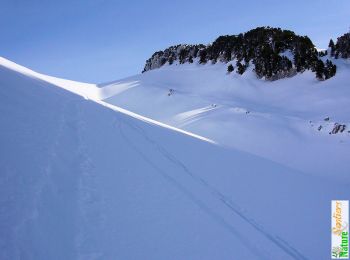 Tocht Sneeuwschoenen Saint-Pierre-d'Entremont - La Croix de l'Alpe depuis les Varvats - Photo