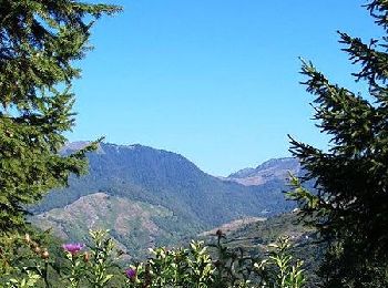 Excursión Bici de montaña Campan - Payolle - Col d'Aspin - Col de Beyrède - Photo