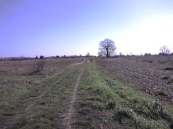 Trail Running Castelginest - Le long de l'Hers à Castelginest - Photo