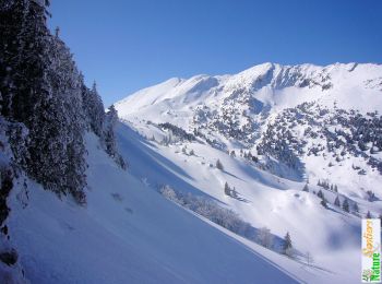 Randonnée Raquettes à neige Proveysieux - Le Col de la Petite Vache en raquettes - Photo