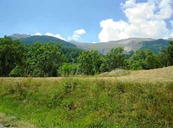 Percorso Mountainbike Embrun - Espace VTT FFC de l'Embrunais Savinois - Circuit n° 4 - La boucle des Fontainiers - Photo