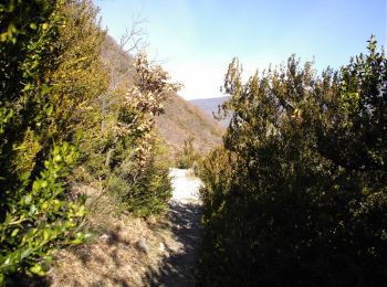 Trail Walking Vesc - Au pays de Dieulefit - Photo