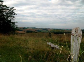 Randonnée Marche Latrape - De Latrape à l'Aunat - Photo