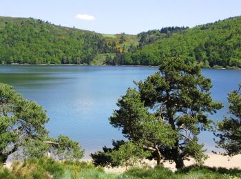 Trail Walking Mazan-l'Abbaye - Boucle Le Bouteirou - Mont Gerbier de Jonc - Etape 1 - Photo