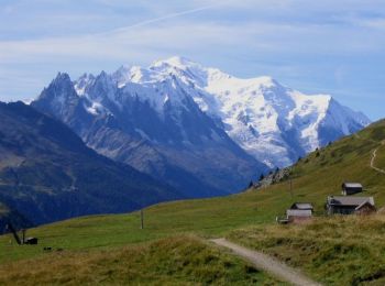Percorso Mountainbike Trient - Tour du Mont Blanc à VTT - Photo