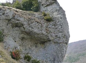 Tour Mountainbike Gigors-et-Lozeron - St Supière et Savel à Gigors et Lozeron - Photo