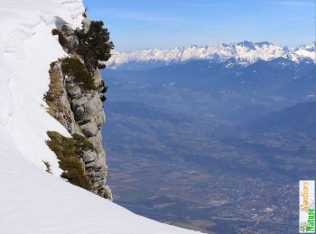 Randonnée Raquettes à neige Entremont-le-Vieux - Les Rochers de Belles Ombres, itinéraire direct - Photo