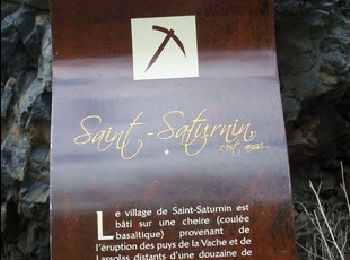 Randonnée Marche Saint-Amant-Tallende - Le Puy de Peyronère - Photo