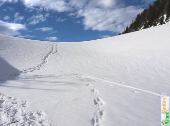 Tour Schneeschuhwandern Saint-Christophe-sur-Guiers - Les crêtes de l'Aliénard 1560m, depuis la Ruchère - Photo