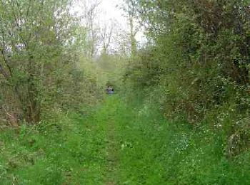 Tour Wandern Saint-Martin-de-Bonfossé - Saint Martin de Bonfossé - Photo