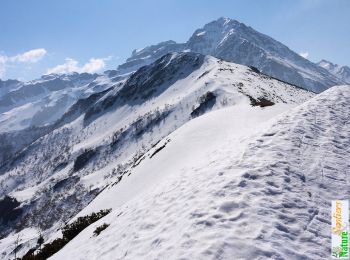 Tocht Sneeuwschoenen Arvillard - Les crêtes de la Montagne d'Arvillard en raquettes - Photo
