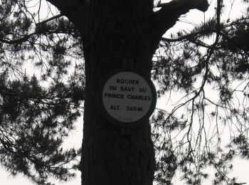 Trail Walking Saverne - Circulaire du Saut du Prince Charles - Photo