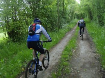 Trail Mountain bike Pont-l'Évêque - Rando Pont l'Evèque - Photo