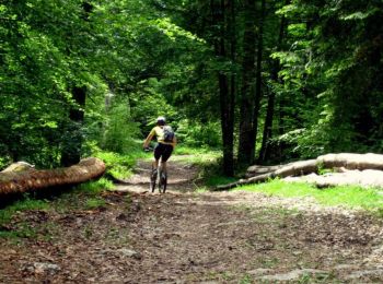 Percorso Mountainbike Lamoura - Randonnée VTT - Le Jura de Haut en Bas édition 2009 - Photo