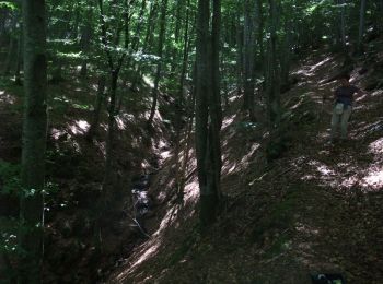 Trail Walking Valbeleix - Le sentier aux loups - Photo