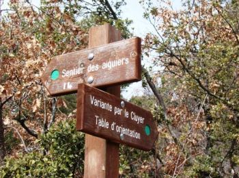 Tour Wandern Saint-Saturnin-lès-Apt - Des Longuets - Le Cluyer - Le sentier des Aiguiers - St Saturnin-lès-Apt - Photo