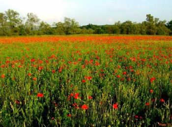 Excursión Bici de montaña Besançon - Le Grand Ouest de Besançon - Photo