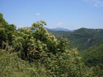 Percorso Mountainbike Saint-Laurent-de-Cerdans - Vallespir St laurent de Cerdans - Photo