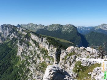 Randonnée Marche Sainte-Marie-du-Mont - De la Rousse aux Belles Ombres - Photo