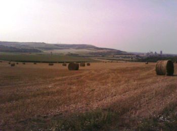 Trail Walking Neufchâtel-Hardelot - De la Glaisière au Vouroux - Photo