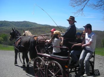 Randonnée Cheval Fabas - Attelage Petites Pyrénées - Fabas - Photo